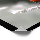 Ladybug-Poster Poster (Hoek)