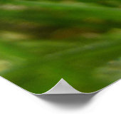 Ladybug-Poster Poster (Hoek)