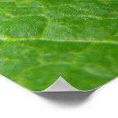 Ladybug-Poster Poster (Hoek)