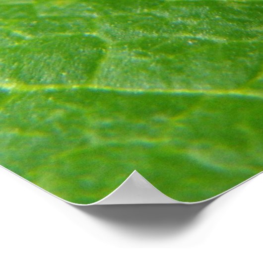 Ladybug-Poster Poster (Hoek)