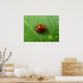 Ladybug-Poster Poster (Keuken)