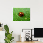 Ladybug-Poster Poster (Thuiskantoor)
