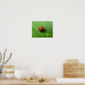 Ladybug-Poster Poster (Keuken)