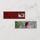 Ladybug-profielkaart Mini Visitekaartje (Voorkant / Achterkant)