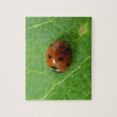 Ladybug Puzzle Legpuzzel (Verticaal)