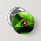 Ladybug Ronde Button 5,7 Cm (Voorkant /achterkant)