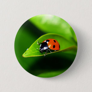 Ladybug Ronde Button 5,7 Cm