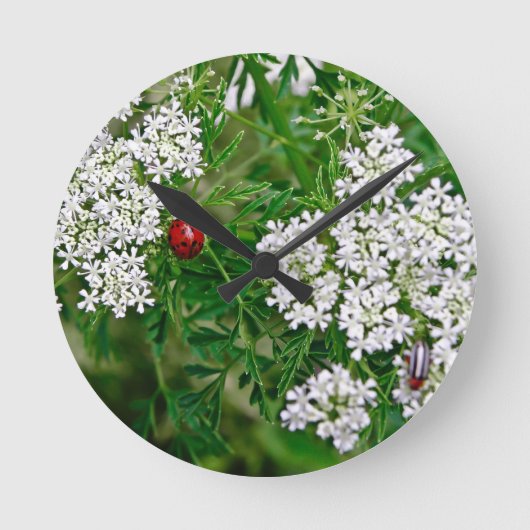 Ladybug Ronde Klok (Voorkant)