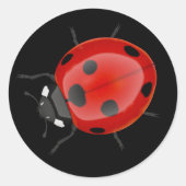 Ladybug Ronde Sticker (Voorkant)