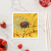 Ladybug Servet (Insitu)