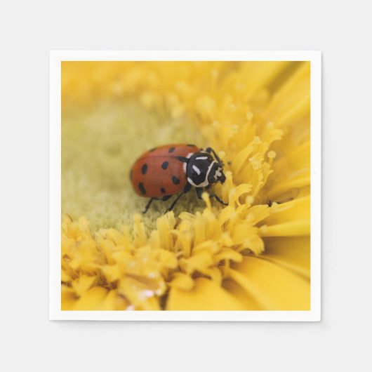 Ladybug Servet (Voorkant)
