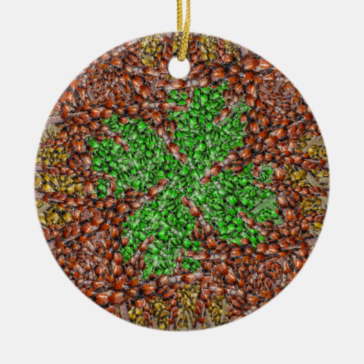 Ladybug Shamrock Ornament (Voorkant)
