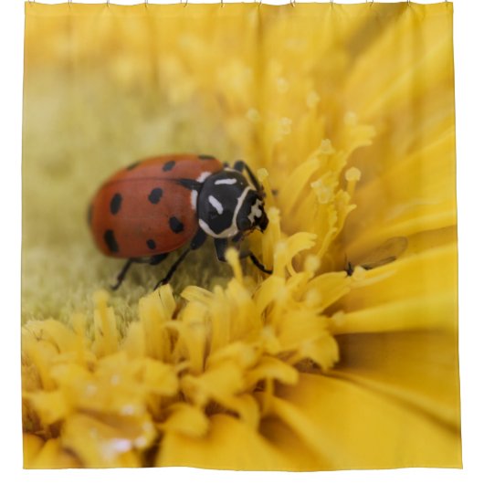 Ladybug Shower Curtain Douchegordijn (Voorkant)