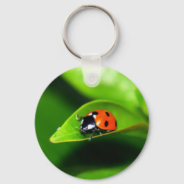 Ladybug Sleutelhanger