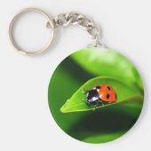 Ladybug Sleutelhanger (Voorkant)