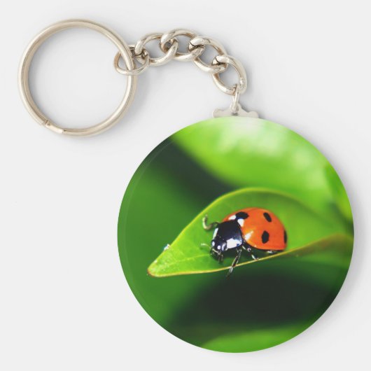 Ladybug Sleutelhanger (Voorkant)