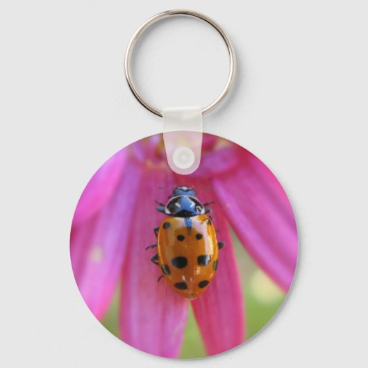 Ladybug-Sleutelhanger Sleutelhanger (Voorkant)