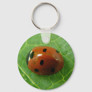 Ladybug-Sleutelhanger Sleutelhanger