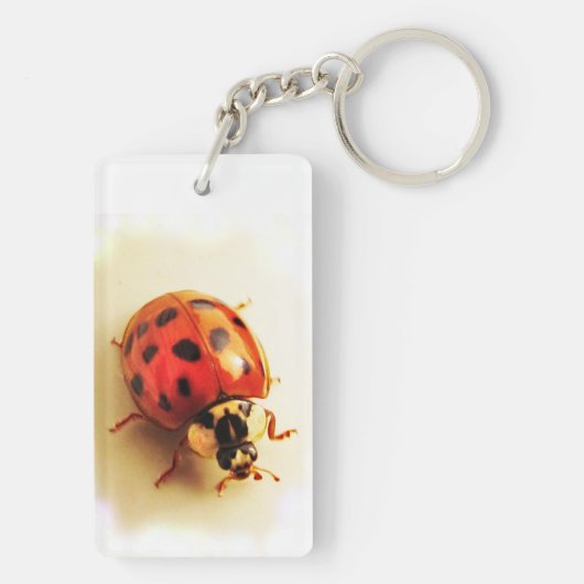 Ladybug-Sleutelhanger Sleutelhanger (achterkant)