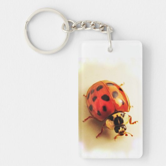 Ladybug-Sleutelhanger Sleutelhanger (Voorkant)