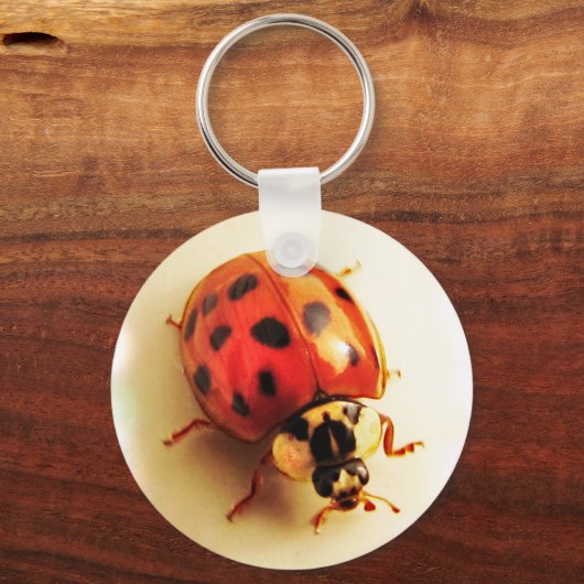Ladybug-Sleutelhanger Sleutelhanger (Voorkant)