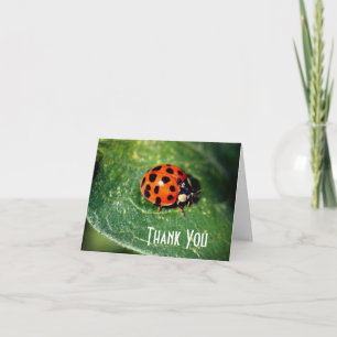 Ladybug Sluiten Natuur Dank u wel Bedankkaart