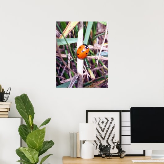 Ladybug Spotlight-Poster Poster (Thuiskantoor)
