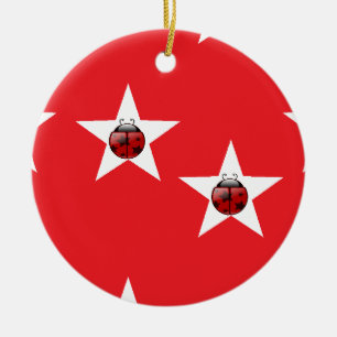 Ladybug sterren keramisch ornament
