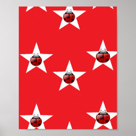 Ladybug sterren poster