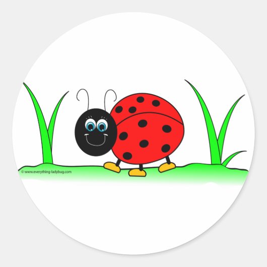 Ladybug Sticker (Voorkant)