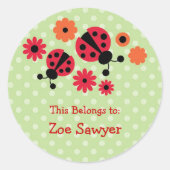 Ladybug Sticker (Voorkant)