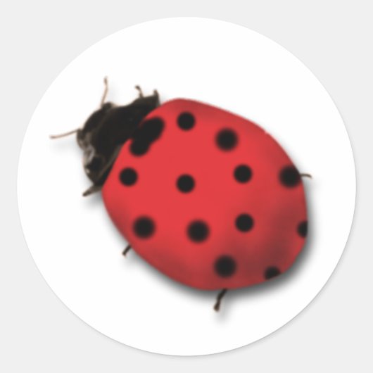 Ladybug-Stickers Ronde Sticker (Voorkant)