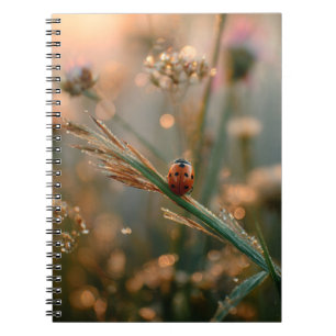 Ladybug Sunrise Meadow Notitieboek