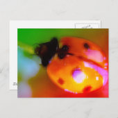 Ladybug tekenen briefkaart (Voorkant / Achterkant)