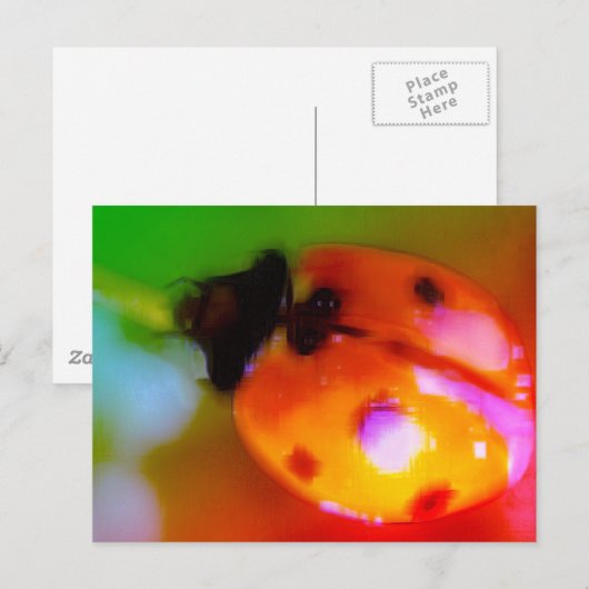 Ladybug tekenen briefkaart (Voorkant / Achterkant)