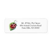 Ladybug Theme Return Address Labkers Etiket (Voorkant)