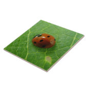 Ladybug Tile Tegeltje (Zijkant)