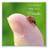 Ladybug Tiny Miracles Quote Square Photo Print Foto Afdruk (Voorkant)