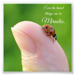 Ladybug Tiny Miracles Quote Square Photo Print Foto Afdruk