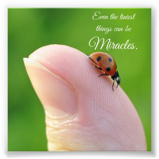 Ladybug Tiny Miracles Quote Square Photo Print Foto Afdruk (Voorkant)