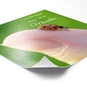 Ladybug Tiny Miracles Quote Square Photo Print Foto Afdruk (Hoek)