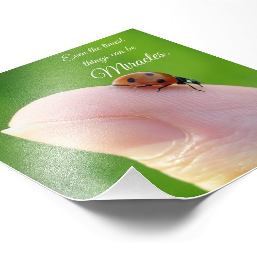 Ladybug Tiny Miracles Quote Square Photo Print Foto Afdruk (Hoek)