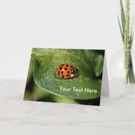 Ladybug Up Close Natuur-fotokaart Kaart