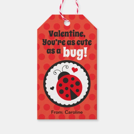 Ladybug Valentijn Gift Label voor kinderen Cadeaulabel (Voorkant)