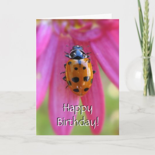 Ladybug Verjaardag Kaart (Voorkant)