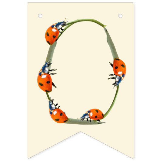 Ladybug Verjaardagsfeest - Een jaar oude 1e Verjaa Vlaggetjes (Tweede vlag)