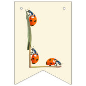 Ladybug Verjaardagsfeest - Een jaar oude 1e Verjaa Vlaggetjes (Eerste vlag)