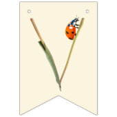 Ladybug Verjaardagsfeest - Een jaar oude 1e Verjaa Vlaggetjes (Derde vlag)