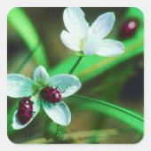Ladybug Vierkante Sticker (Voorkant)