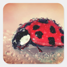 Ladybug Vierkante Sticker